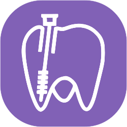 Endodoncia